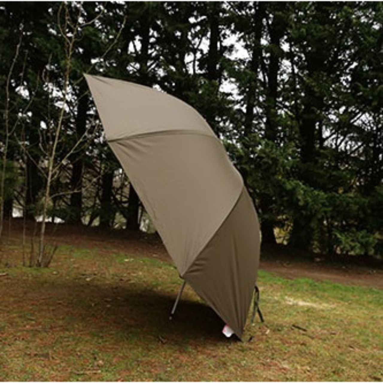 FOX BROLLY 60"